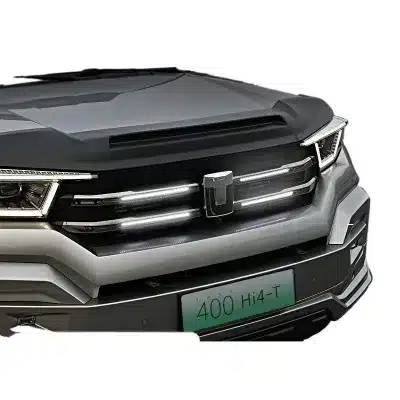 Front Grille LED Daytime Running Lights and Center Logo Light Assembly for Tank 400 Hi4-T Exterior Modification Front Grille LED Daytime Running Lights and Center Logo Light Assembly for Tank 400 Hi4-T Exterior Modification