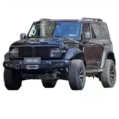 Tank 300 Knight Kit Modified Full Set of Accessories Grille Front Bar and Rear Bar Hood Wheel Eyebrow Fenglin Knight Special