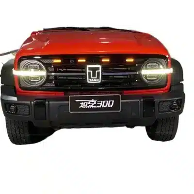 LED Front Grille Marker Lights Daytime Running Signal Atmosphere Lamps for Tank 300 Off-Road Vehicle