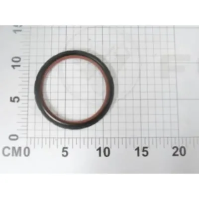 Rear Crankshaft Oil Seal for Foton BJ4F20T Engine, Replaces PV10002322