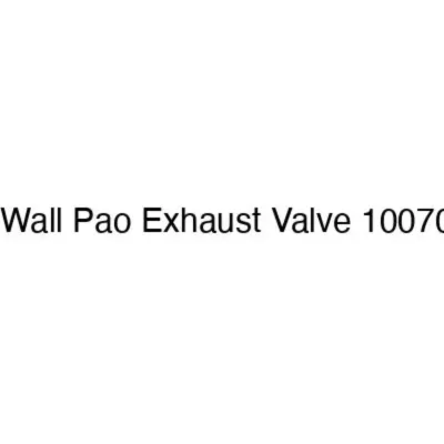 For Great Wall Pao Exhaust Valve 1007012XED95