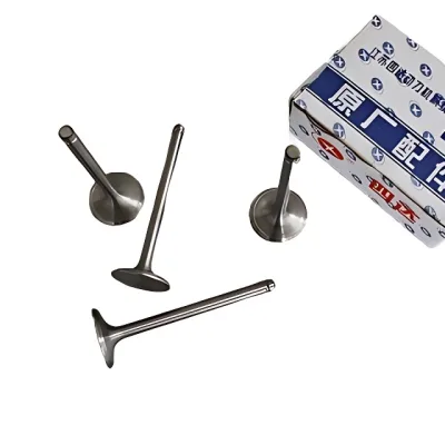 Sida Power Intake Valve for SD4CW65 Light-Duty Diesel Engine (1007011-CW2) Sida Power Intake Valve for SD4CW65 Light-Duty Diesel Engine (1007011-CW2)