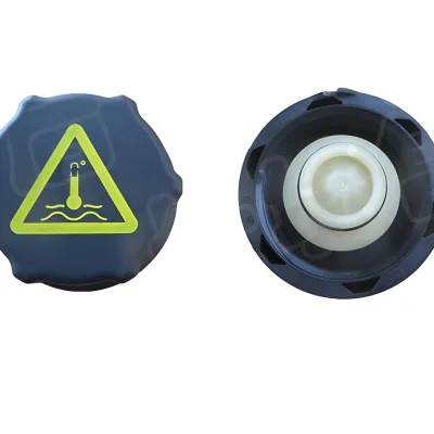 ORA Funky Cat / 03 Expansion Tank Cap – 1311102XGW02A ORA Funky Cat / 03 Expansion Tank Cap – 1311102XGW02A