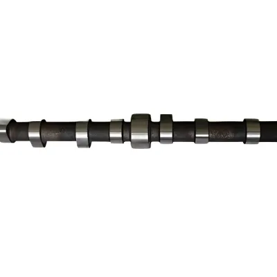 Quanchai Camshaft for QCN490ZLQ Diesel Engine (1006016-QCN490ZLQ) Quanchai Camshaft for QCN490ZLQ Diesel Engine (1006016-QCN490ZLQ)