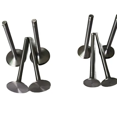 Sida Power SD490 Engine Intake Valve – Part No. 00711-490ZLQ / 1007011-0007-001 Sida Power SD490 Engine Intake Valve – Part No. 00711-490ZLQ / 1007011-0007-001