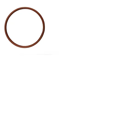 GWM Fuel Pump Seal Ring for Poer Passenger 2021 – 1101103XKR02A GWM Fuel Pump Seal Ring for Poer Passenger 2021 – 1101103XKR02A