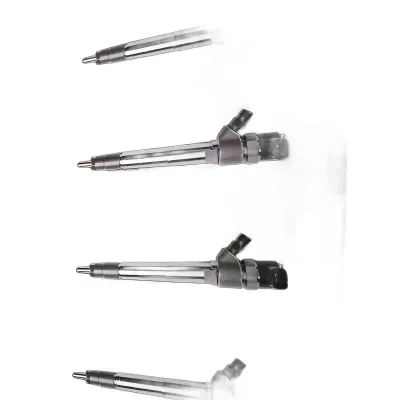 BAIC / Foton Fuel Injector Assembly 0445110446 for BJ493 2.8L Engines BAIC / Foton Fuel Injector Assembly 0445110446 for BJ493 2.8L Engines