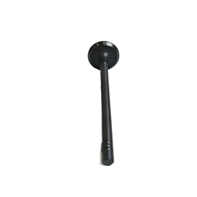 Renault-Nissan M9T-60A Intake Valve for 2.3L Diesel Engine (1007011-FD2300) Renault-Nissan M9T-60A Intake Valve for 2.3L Diesel Engine (1007011-FD2300)