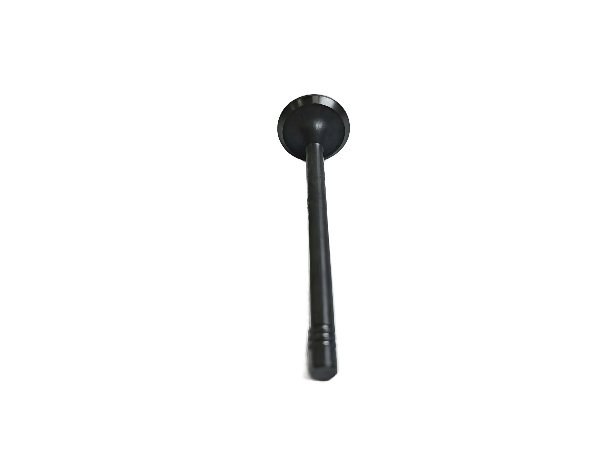 Renault-Nissan M9T-60A Intake Valve for 2.3L Diesel Engine (1007011-FD2300)
