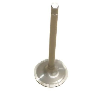 GWM Intake Valve for GW2.8 2.8L Early Diesel Engines – 1003011-E03 GWM Intake Valve for GW2.8 2.8L Early Diesel Engines – 1003011-E03
