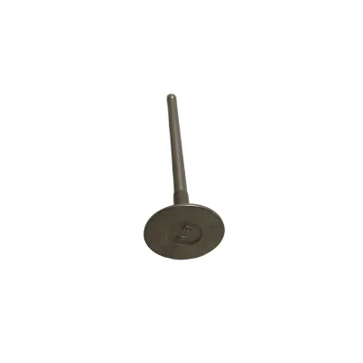 GWM Exhaust Valve for GW4G15 1.5L Engine – Part No. 1007012-EG01 GWM Exhaust Valve for GW4G15 1.5L Engine – Part No. 1007012-EG01
