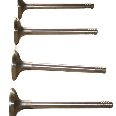 Exhaust Valve for Huanghai Grand Tiger Pickup – 1007012-X2 Exhaust Valve for Huanghai Grand Tiger Pickup – 1007012-X2