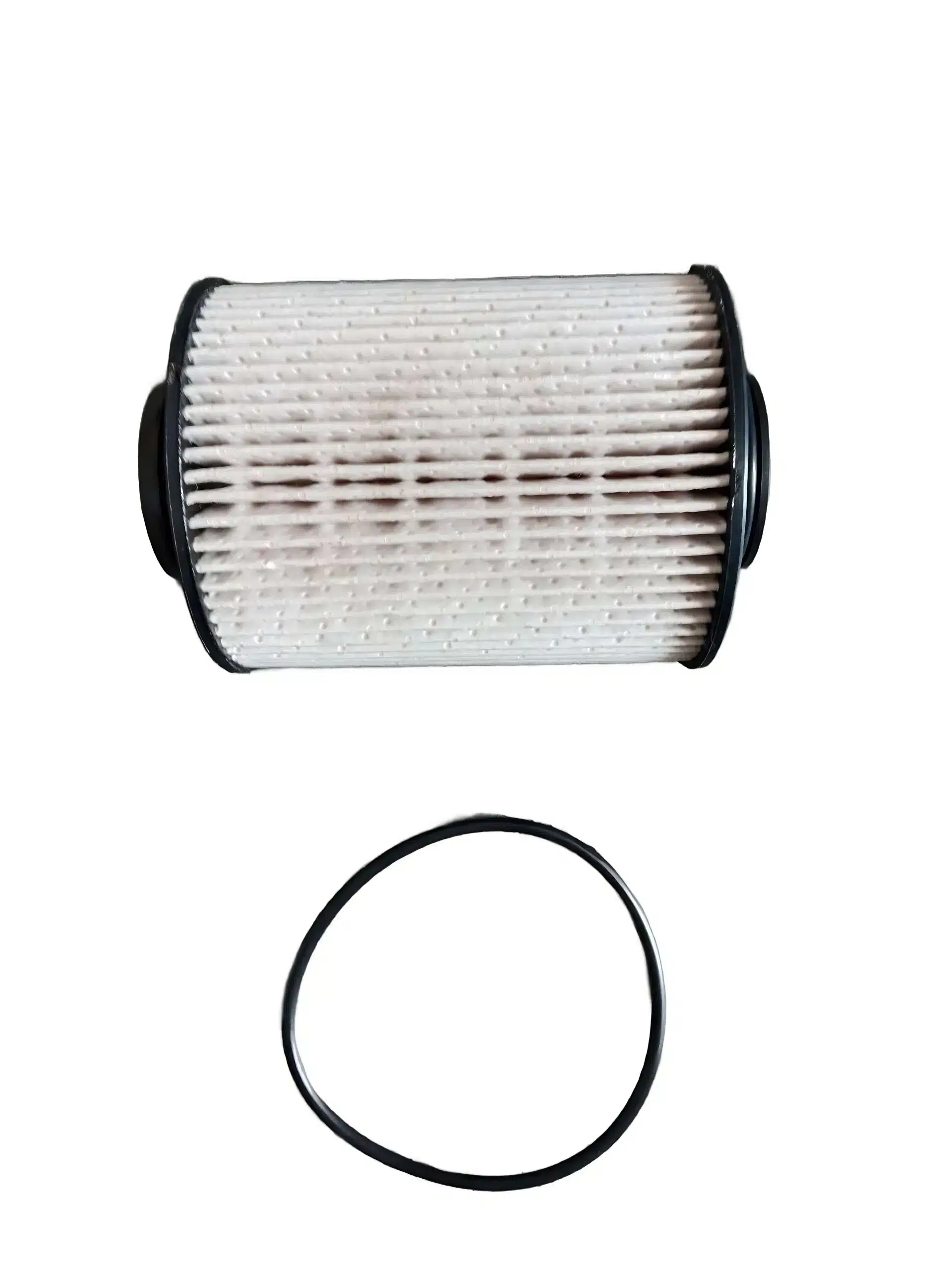 JAC Motors Diesel Fuel Filter Assembly for HFC4DB2 2.0T CTI Engine – 1105014P31F0