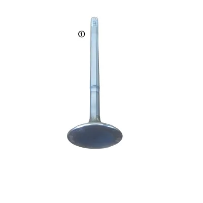 GWM Intake Valve for GW4B15 1.5L Engine – Part No. 1007011XEB03 GWM Intake Valve for GW4B15 1.5L Engine – Part No. 1007011XEB03