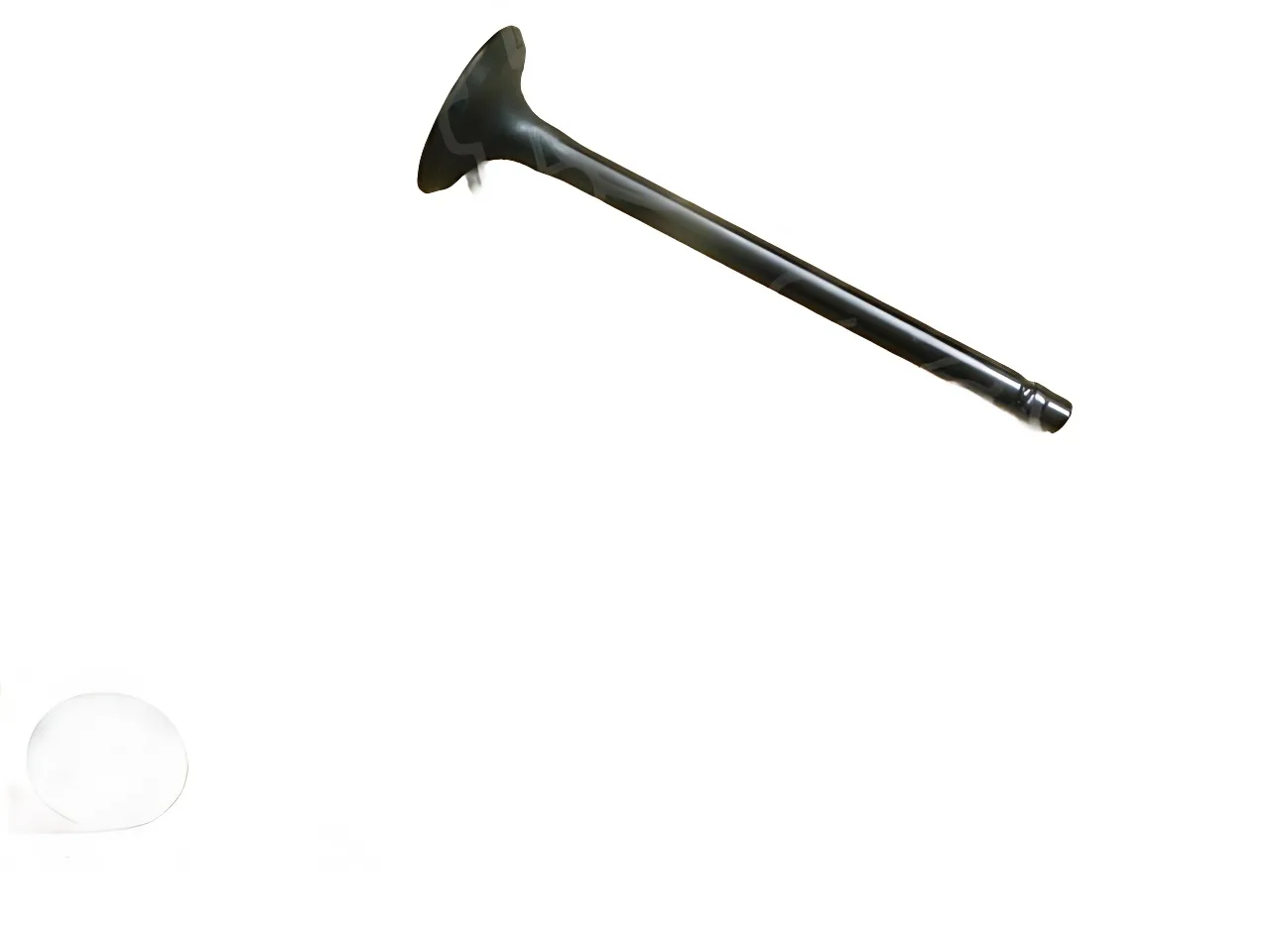 GWM Intake Valve for GW4D20M 2.0L Diesel Engine – 1007011XED95