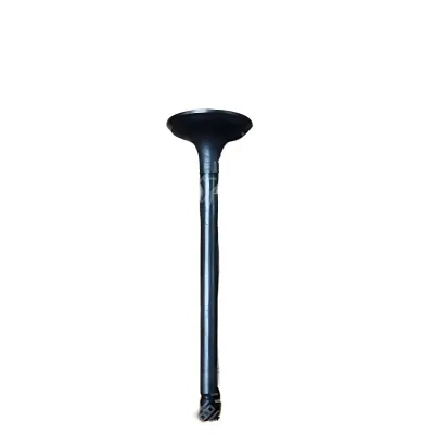 GWM GW4D20 2.0L Intake Valve – Part No. 1007011-ED01-10 GWM GW4D20 2.0L Intake Valve – Part No. 1007011-ED01-10