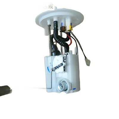 Fuel Pump Assembly for Haval H7L Red Label (Extended Edition) – 1123100XKU00A Fuel Pump Assembly for Haval H7L Red Label (Extended Edition) – 1123100XKU00A