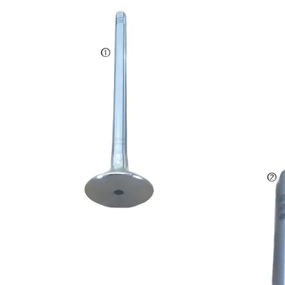 GWM Exhaust Valve for GW4B15 1.5T Engine – Part No. 1007012XEB03 GWM Exhaust Valve for GW4B15 1.5T Engine – Part No. 1007012XEB03