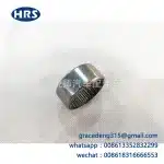 Steering Knuckle Spindle Needle Roller Bearing 90364-33011 for Toyota Land Cruiser UZJ100