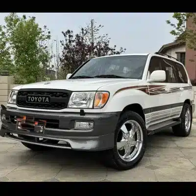 O1CN010P3aTZ2KJ5VGCyriS_2218689929535-0-cib.jpg