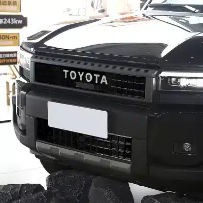Front Grille Mesh Insect Guard Net 2PCS Set for 2024 Toyota Prado LC250 Land Cruiser, Painted Black ABS, Japanese RHD Version