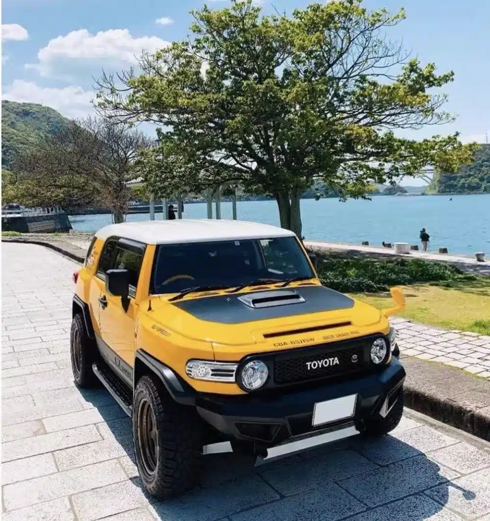 O1CN01F4R30t1MnszMA4x4x_2927191480-0-cib.jpg