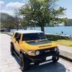Front Hood Air Intake Garnish Decorative Trim for Toyota FJ Cruiser, Easy 3M Tape Installation