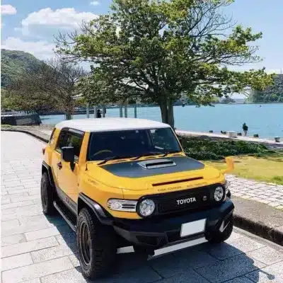Front Hood Air Intake Garnish Decorative Trim for Toyota FJ Cruiser, Easy 3M Tape Installation Front Hood Air Intake Garnish Decorative Trim for Toyota FJ Cruiser, Easy 3M Tape Installation