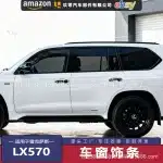 Stainless Steel Window Trim 10-Piece Kit for 2015-2021 Lexus LX570, Upper Frame Pillar Chrome-Style Protective Accents
