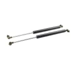 Front Hood Lift Supports Gas Struts Pair for 1998-2007 Toyota Land Cruiser 100 Series & Lexus LX470, OE 53450-69025 53440-69025