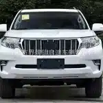 Front Bumper Upper Grille for 2018-2020 Toyota Land Cruiser Prado FJ150, OEM 53101-0G110