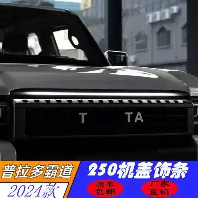 Front Hood Grille Trim Strips Black Warrior Style for 2024 Toyota Prado LC250, Exterior Accent Modification