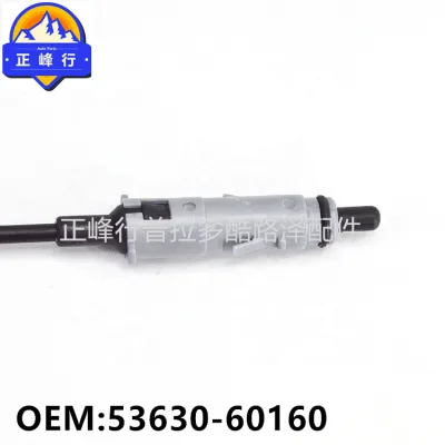 O1CN01kH2ZBd1fQ39TpwXmf_2216704154000-0-cib.jpg