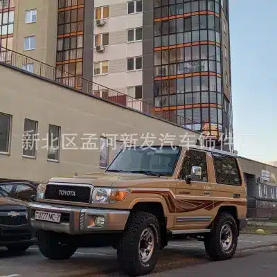 Exterior Door Body Side Molding Trim Strip for Toyota Land Cruiser LC70 LC71 LC76 LC79, ABS Chrome Accent Decoration Exterior Door Body Side Molding Trim Strip for Toyota Land Cruiser LC70 LC71 LC76 LC79, ABS Chrome Accent Decoration