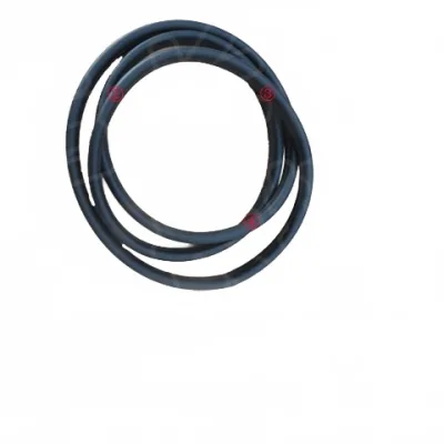ORA Funky Cat / 03 Front Left Door Frame Weatherstrip Seal – 6107131XNW01A ORA Funky Cat / 03 Front Left Door Frame Weatherstrip Seal – 6107131XNW01A