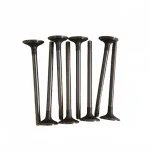 JMC Intake Valve for JX4D24A4L-1 2.4L Diesel Engine – 2S7Q-6507-A3C
