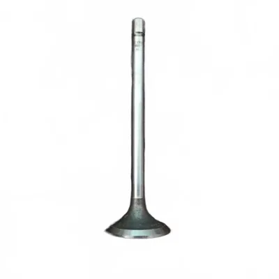 JMC Intake Valve for JX4D30B5L 3.0L Diesel Engine (1007033-0005-001) JMC Intake Valve for JX4D30B5L 3.0L Diesel Engine (1007033-0005-001)