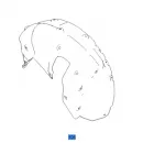 ORA White Cat Fender Liner Rear Right for Little Wildcat Edition (5512102XNZ03A)
