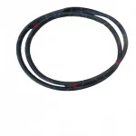 Rear Left Door Frame Weatherstrip Seal for ORA Funky Cat / 03 – 6207131XNW01A