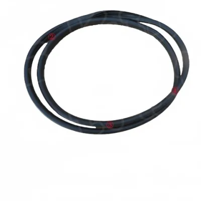 Rear Left Door Frame Weatherstrip Seal for ORA Funky Cat / 03 – 6207131XNW01A Rear Left Door Frame Weatherstrip Seal for ORA Funky Cat / 03 – 6207131XNW01A