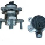 ORA Black Cat (R1) Rear Wheel Hub Assembly – 3104100XNZ01A