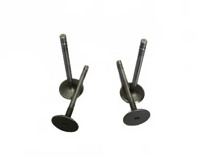 Yuchai YC4F90 2.6L Diesel Engine Intake Valve – Part No. 1007011-0039-001 Yuchai YC4F90 2.6L Diesel Engine Intake Valve – Part No. 1007011-0039-001