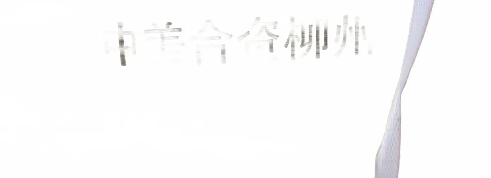 white_bg_2e873665070a4df5b349303af54f80a4.jpg