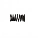 Nissan / DFSK Valve Spring for ZD25 2.5L Diesel Engine – 1007016-0021-001
