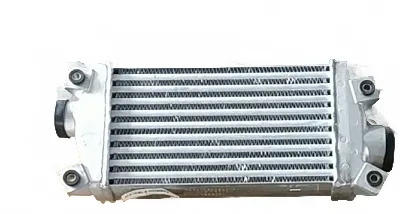 Foton Conqueror Intercooler Assembly – Part No. 1119010-0120-001 Foton Conqueror Intercooler Assembly – Part No. 1119010-0120-001