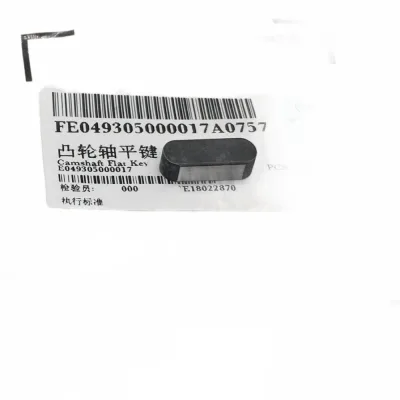 BAIC Foton Camshaft Parallel Key for BJ493 2.8L Engine (Part FS1006066-0007-001) BAIC Foton Camshaft Parallel Key for BJ493 2.8L Engine (Part FS1006066-0007-001)