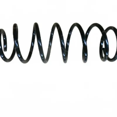 Front Coil Spring for ORA Black Cat (R1) – Part Number 2905105XNZ01A Front Coil Spring for ORA Black Cat (R1) – Part Number 2905105XNZ01A