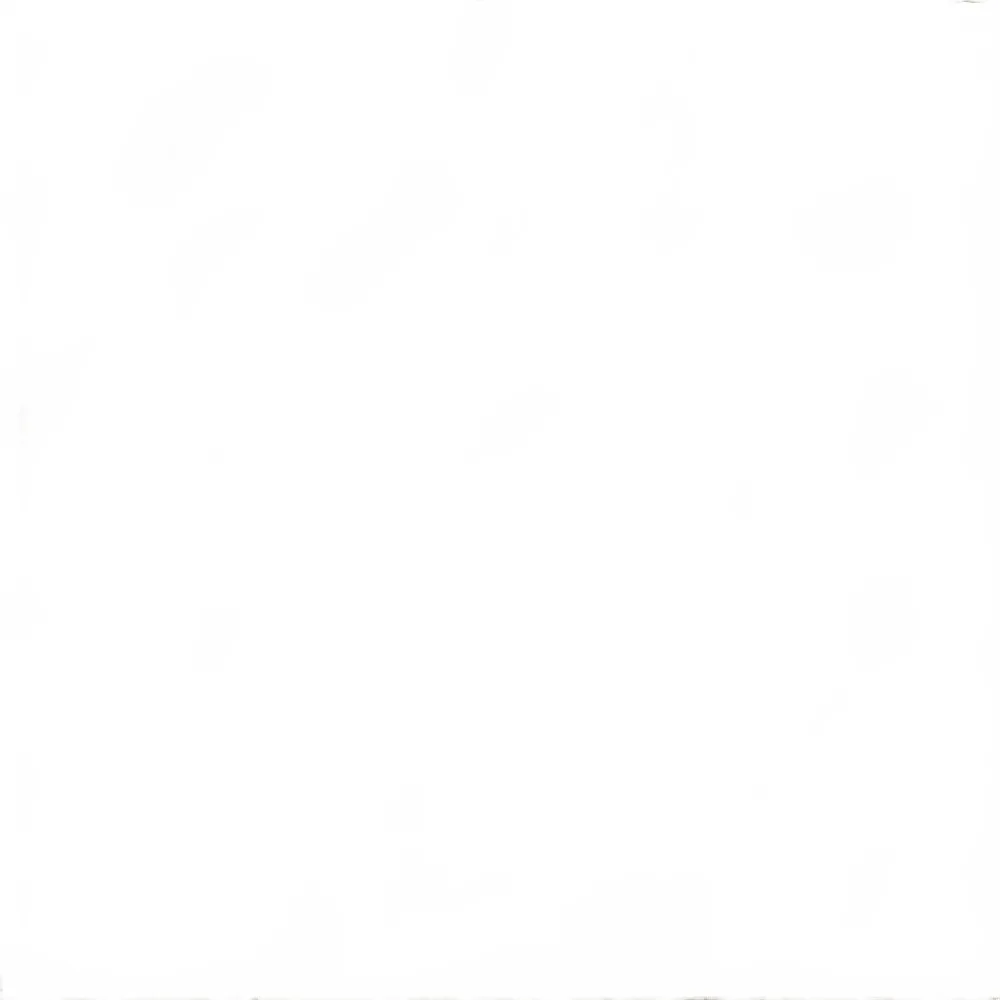 white_bg_47597943a6b94343b7d6853184559c21.jpg