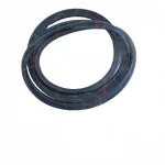 ORA Funky Cat / 03 Door Frame Weatherstrip Seal – 6307101XNW01A