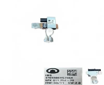 Haval H2 Red Label Battery Sensor Assembly – 3703300XSZ08A Haval H2 Red Label Battery Sensor Assembly – 3703300XSZ08A